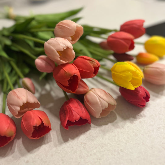 Roze Tulpen