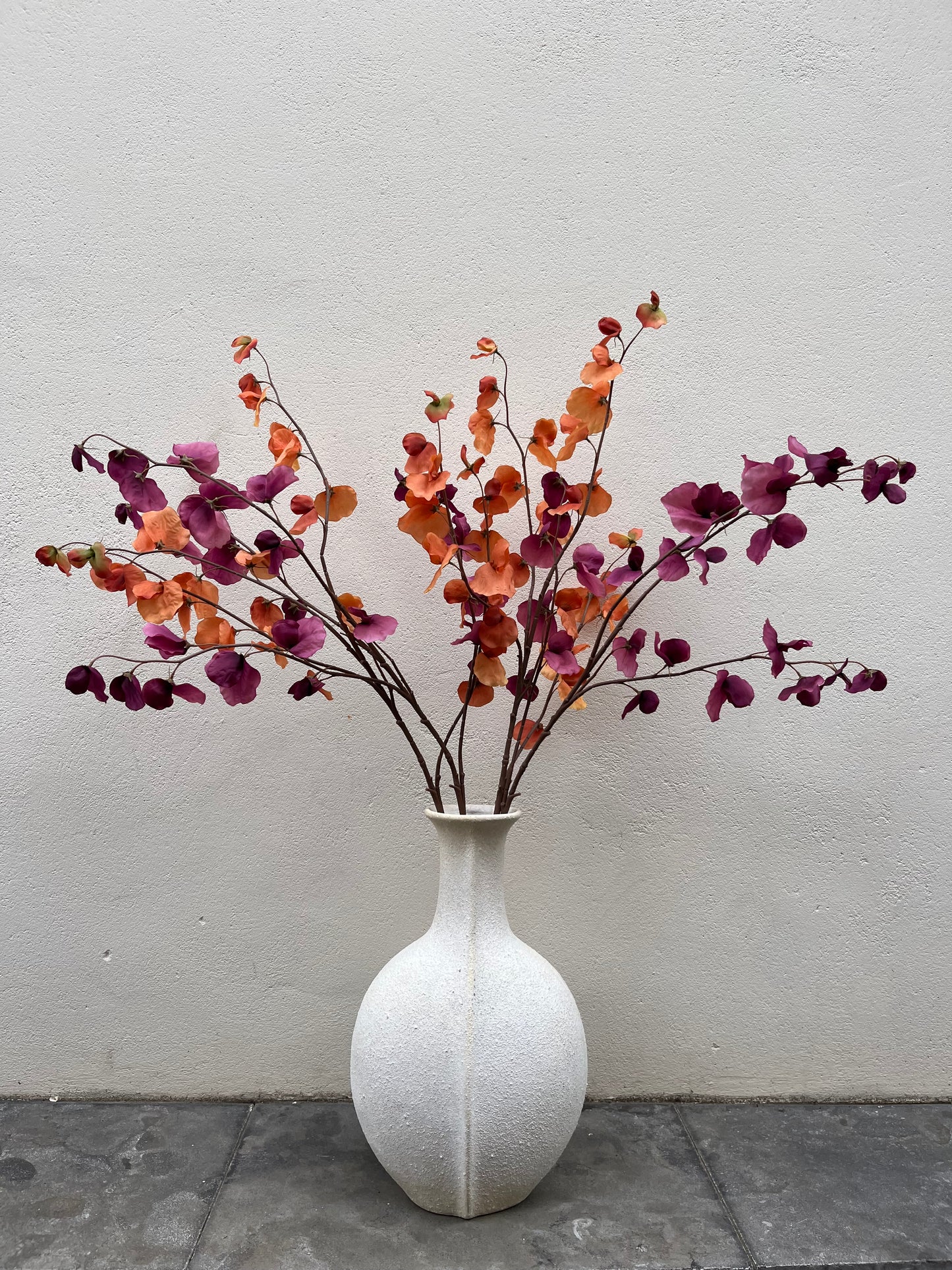 Lathyrus Tak