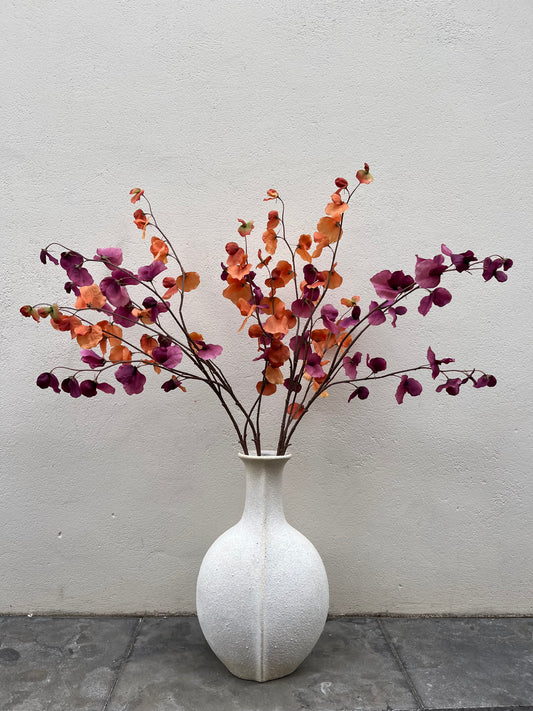 Lathyrus Tak