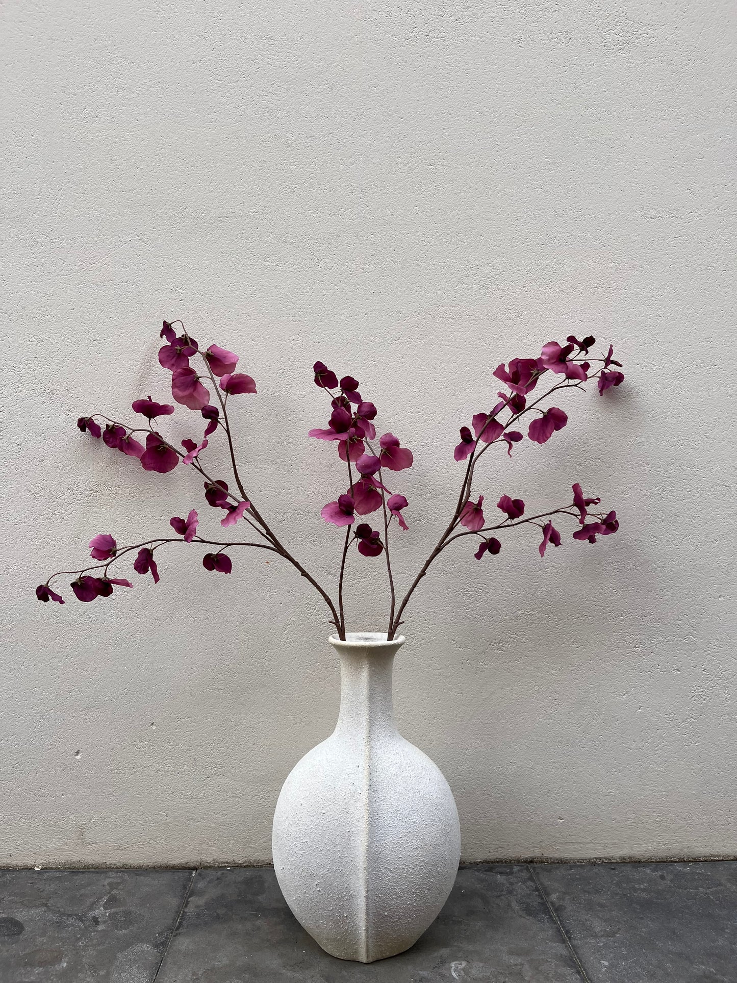 Lathyrus Tak