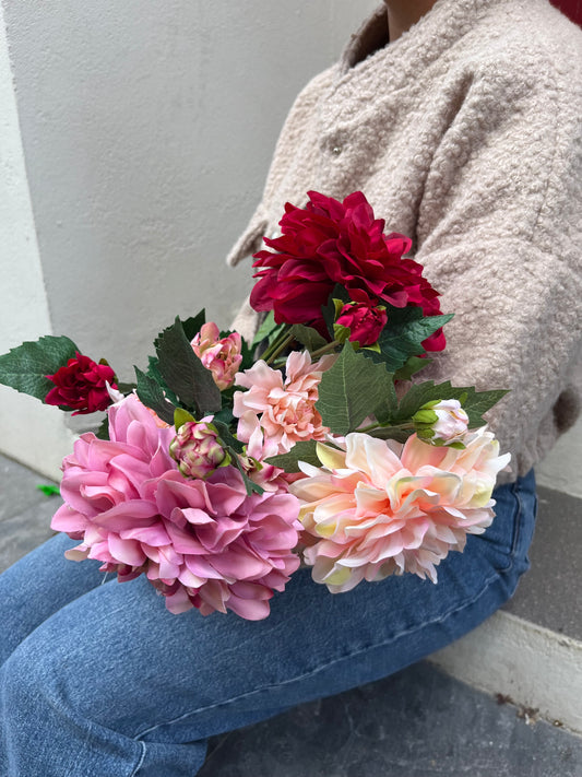 Dahlia