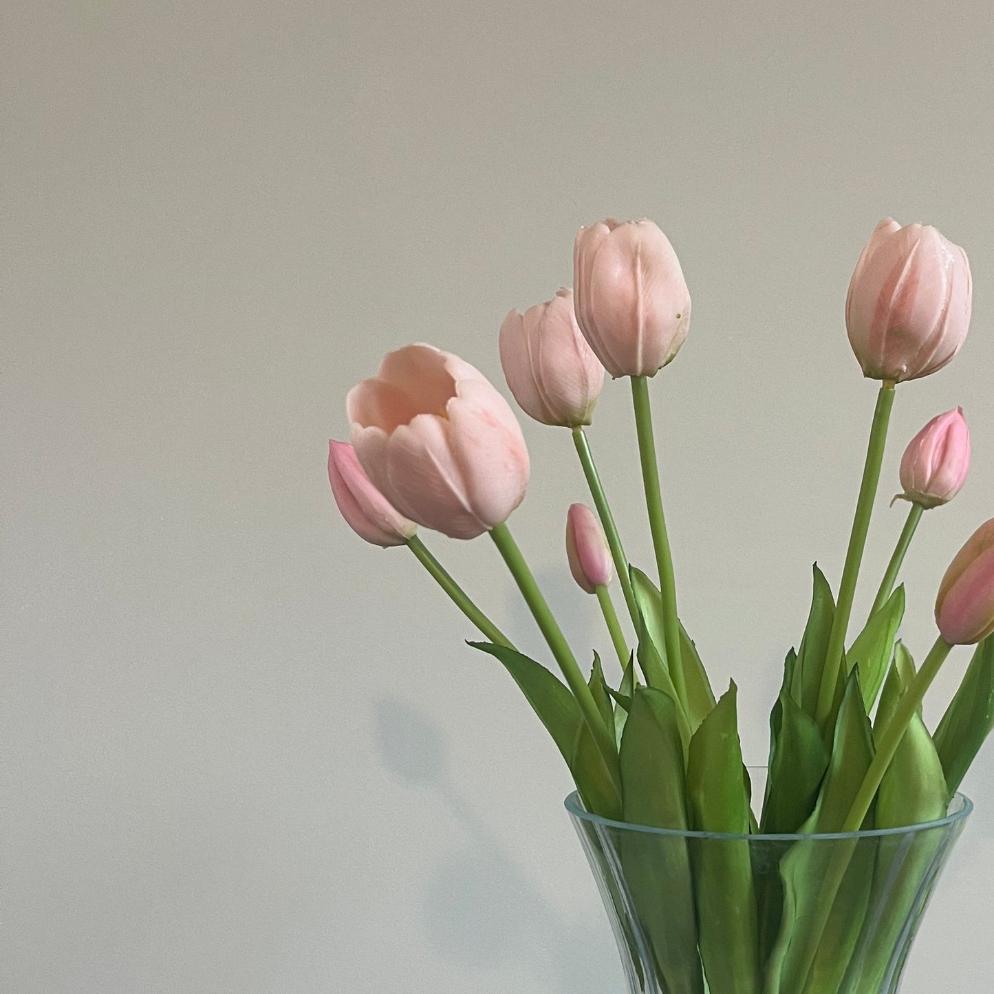 Licht Roze Tulpen
