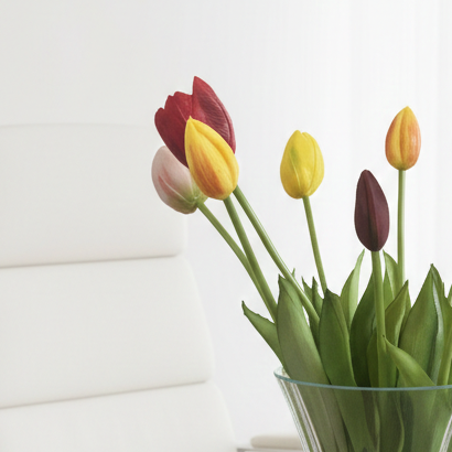 Gemixte Tulpen